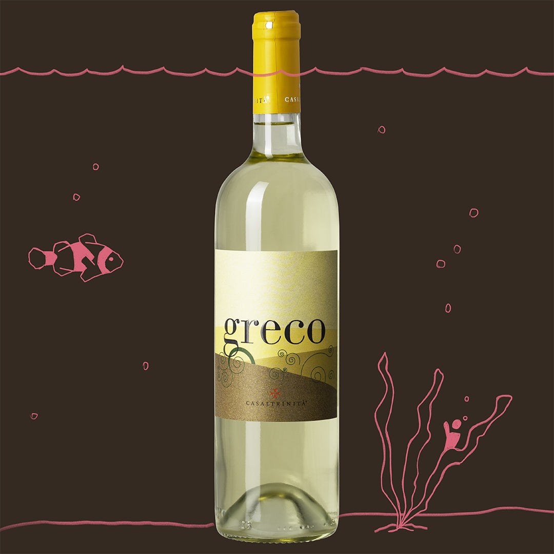 Greco – witte wijn van Greco-druiven uit Puglia – sfeerbeeld met fles van Casaltrinita’