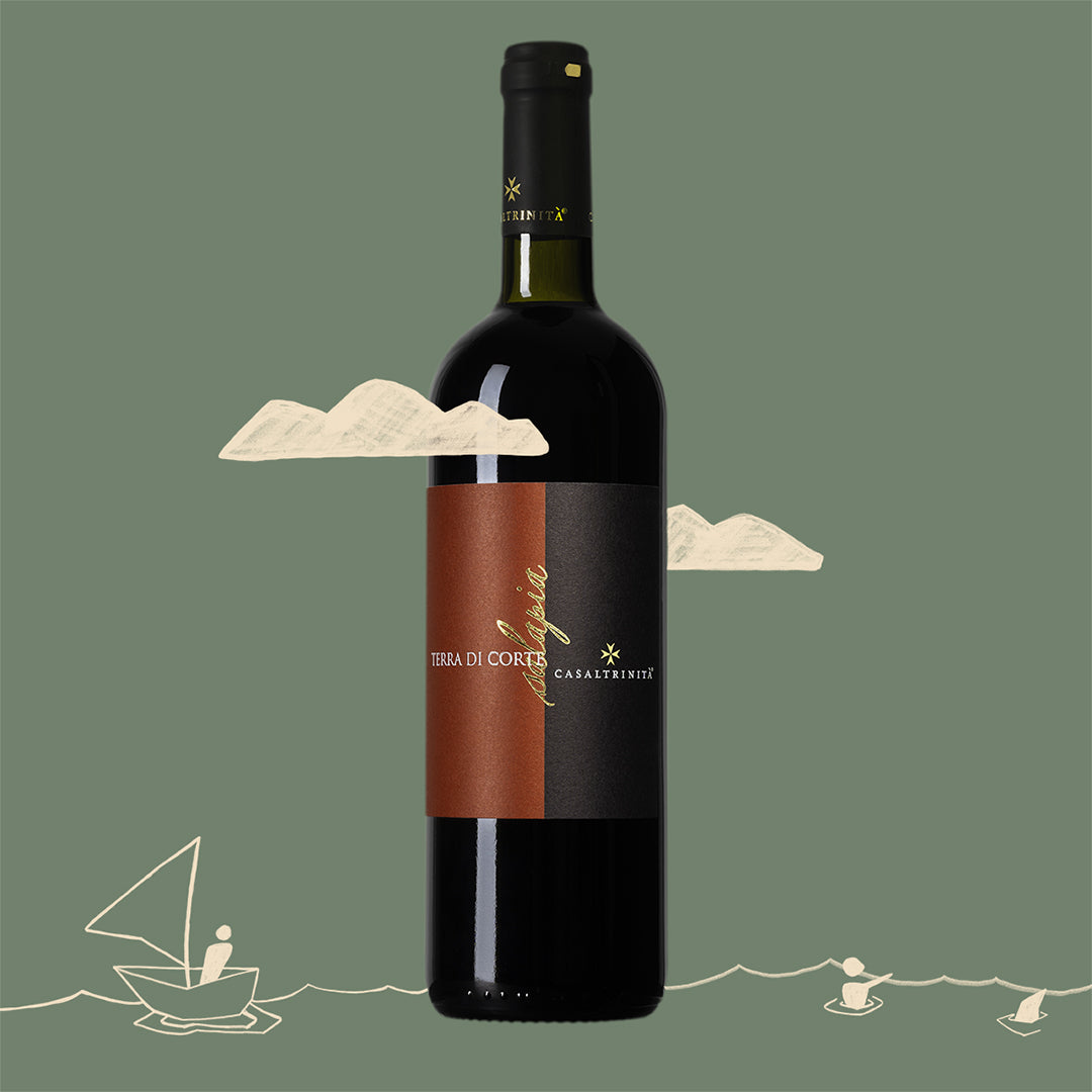 Terra di Corte – rode wijn uit Puglia van Casaltrinita’ – sfeerbeeld met fles