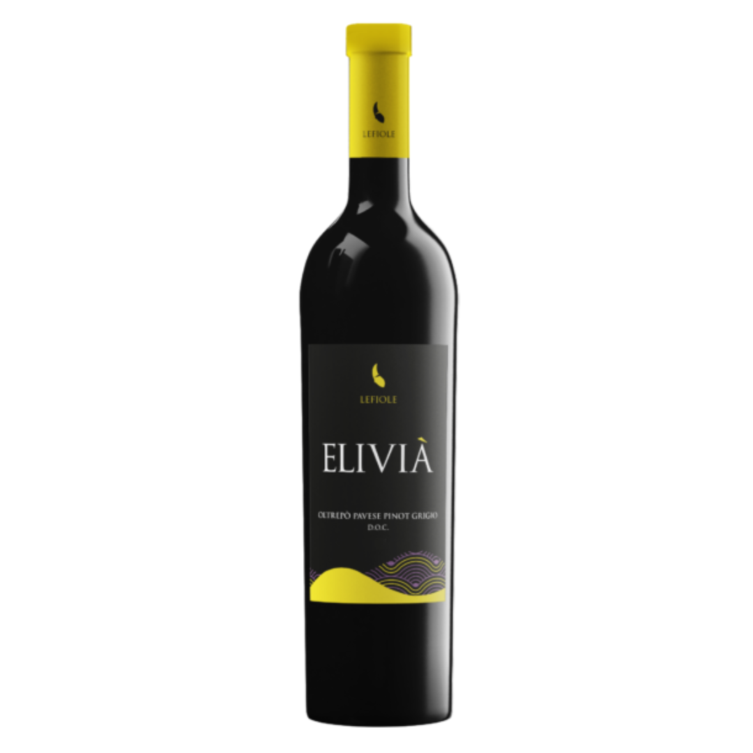 Fles Elivià Pinot Grigio – gastronomische witte wijn uit Oltrepò Pavese, Italië · Terra Collective