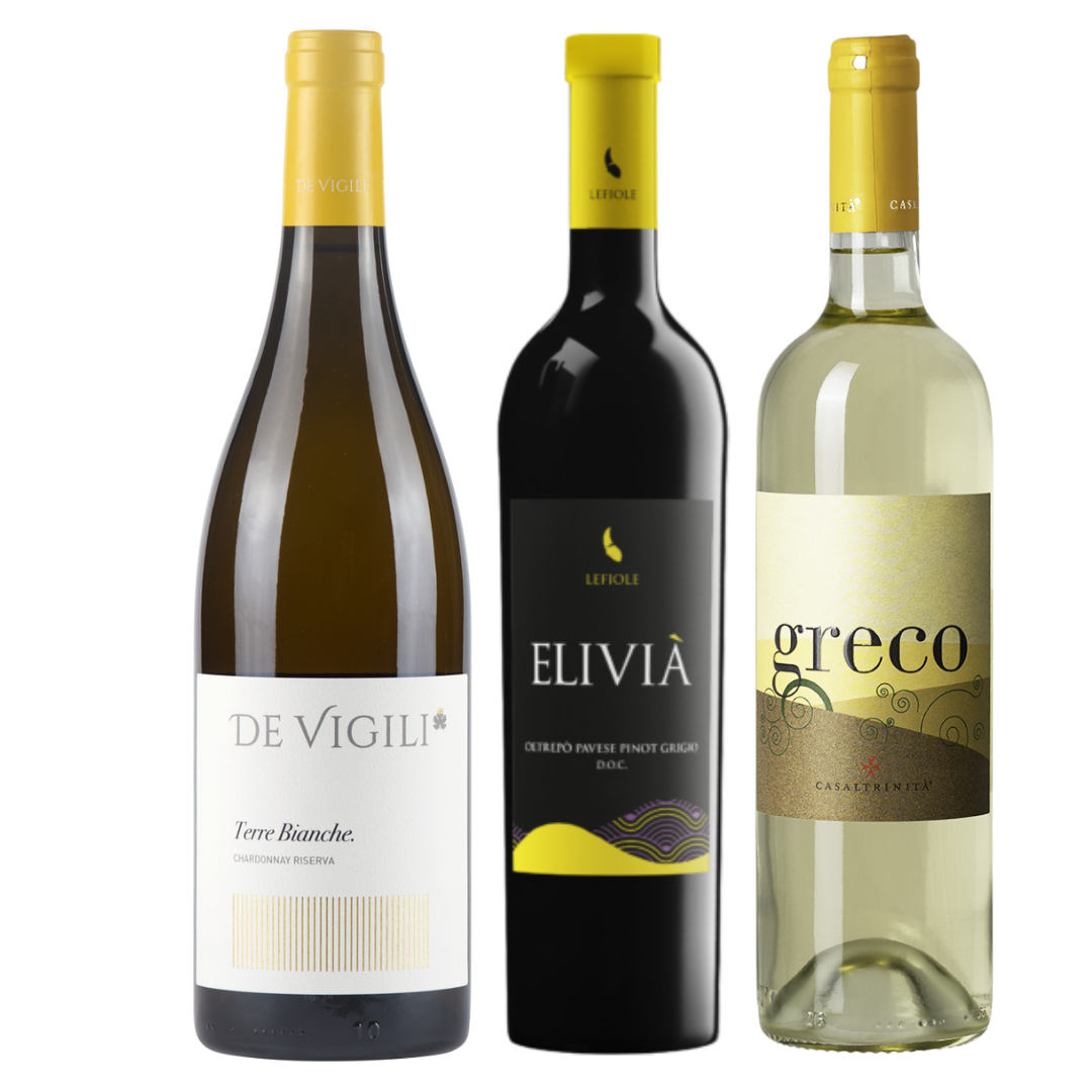 Van Bergen tot Zee – wijnpakket met Chardonnay, Pinot Grigio en Greco · Terra Collective