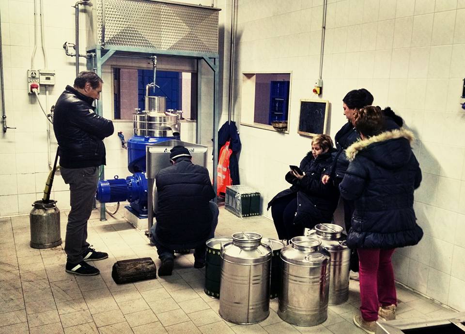 The Art of Buying Together: A Family Tradition Reimagined